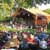 Albany Area Live Music: Freedom Park In Scotia, NY