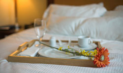 Albany NY Hotels