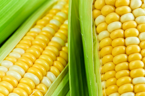 corn