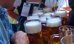 2008 Oktoberfest In Albany