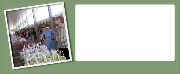 Capital Region Apple Festival & Wine Festival