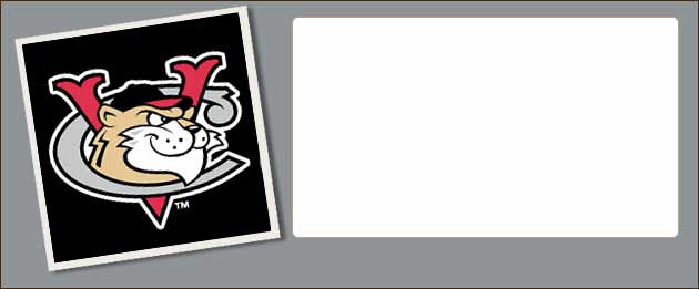 ValleyCats Playoff Series 2010