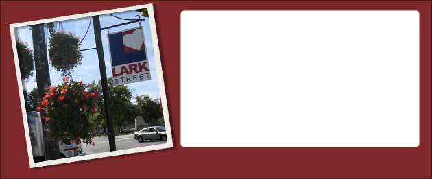 LarkFEST