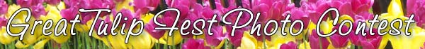 The Great Tulip Fest Photo Contest