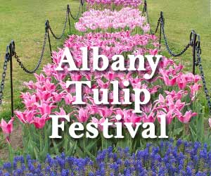 Albany Tulip Festival In Washington Park