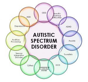 autism_spectrum_disorder-thumb-300x278-22333.png