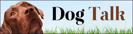 Dog Talk: A Dog Blog By Rachel Baum