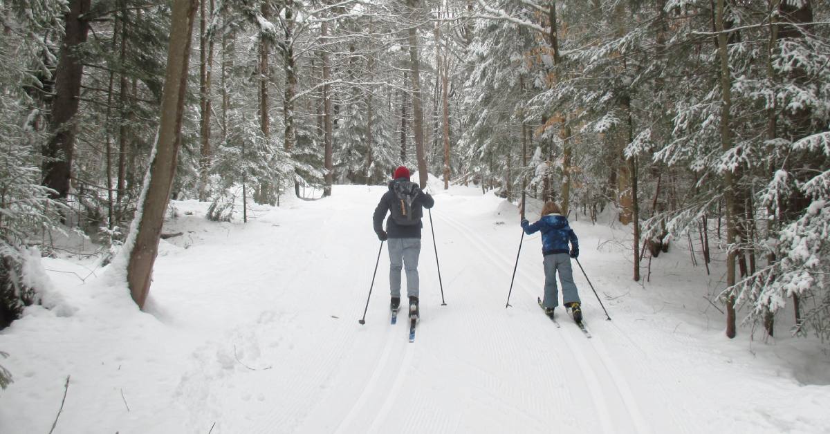 Where To Go Cross Country Skiing In Near Albany Ny This Winter