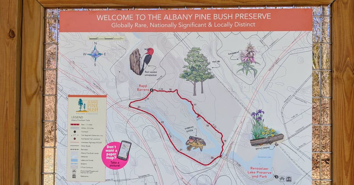Find FamilyFriendly Hiking Trails in the Albany, NY Area