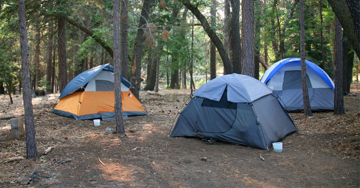 three tents set up in the woods
