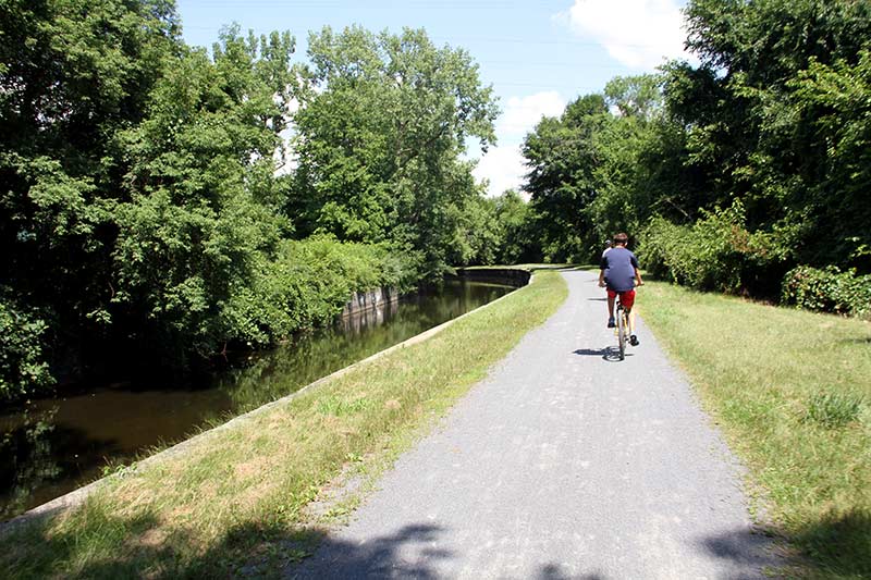 Hiking and Biking Trails in and Around Albanym NY